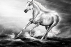 koń w galopie